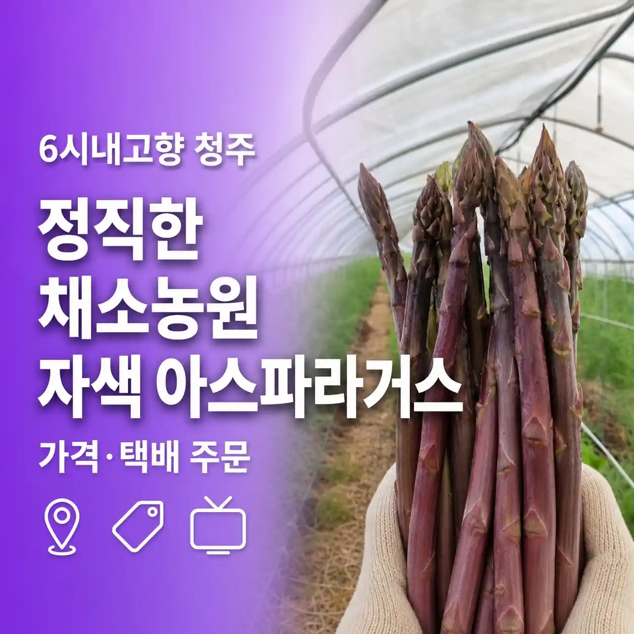 6시내고향 청주 정직한 채소농원 어디? 자색 아스파라거스 가격·택배 주문