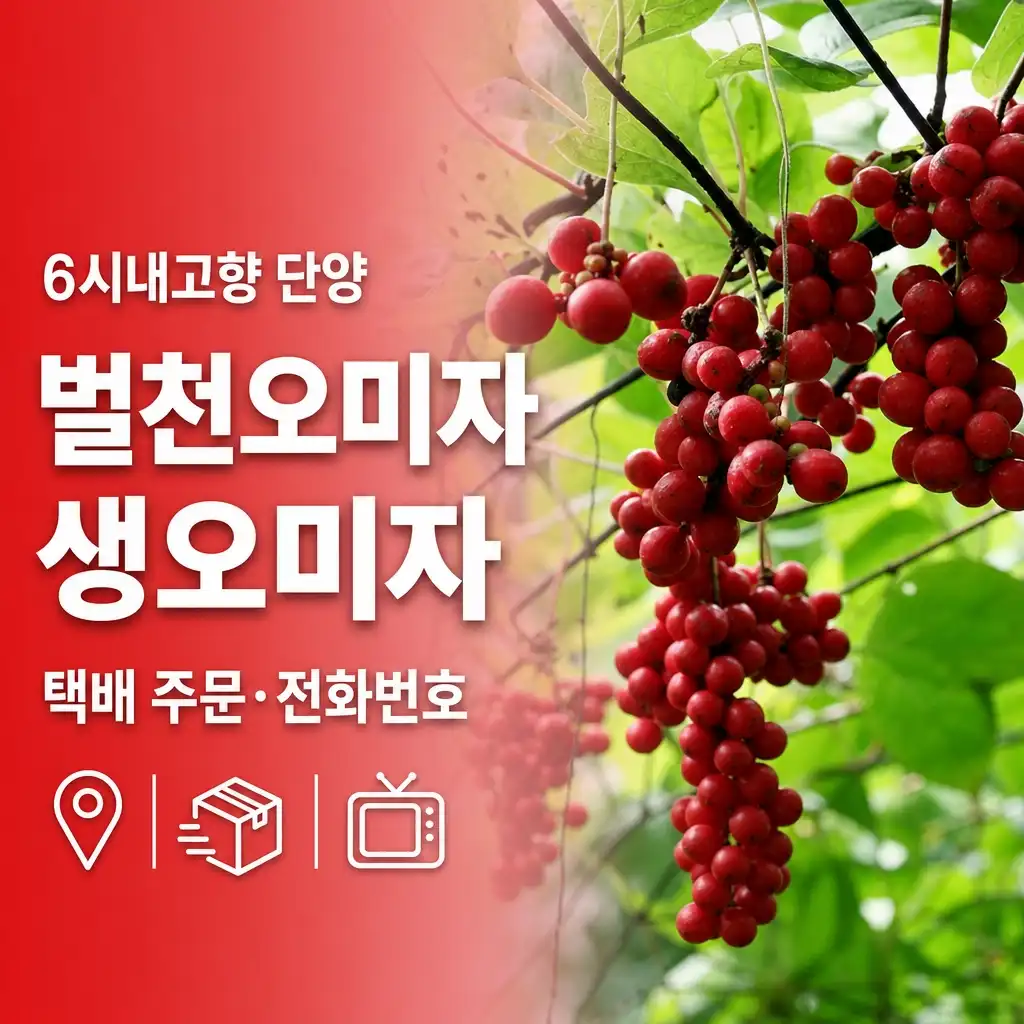 6시내고향 단양 벌천오미자 어디? 생오미자 택배 주문·전화번호