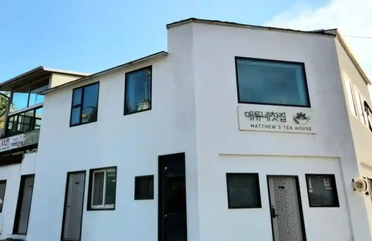 오늘N 정선 매튜네 찻집 런던 포그 가격·주차, 북평면 새 주소까지