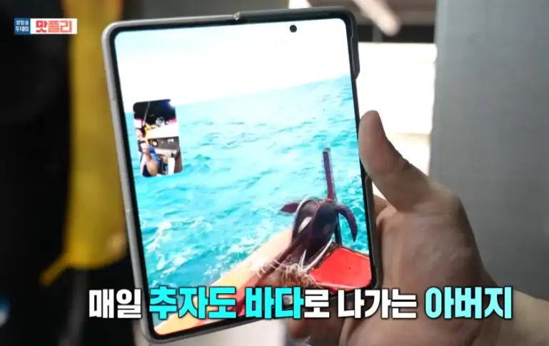 생방송투데이 방송 추자도 바다로 나가는 아버지 장면