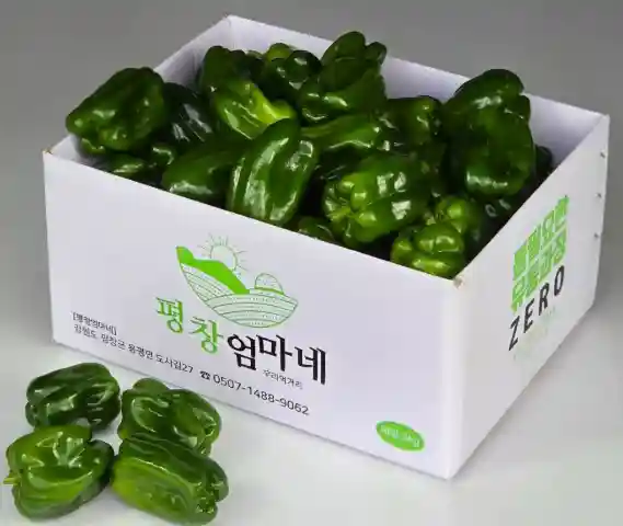 6시내고향 평창 피망 평창엄마네 가격·택배주문 못난이 피망 고르는 법