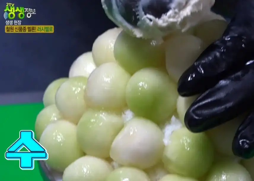 러시멜로 빙수 사진