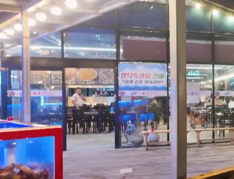전현무계획4 영덕맛집신해물칼국수 가격·주차 해물칼국수 1인 1만5천원